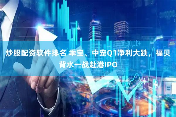 炒股配资软件排名 乖宝、中宠Q1净利大跌，福贝背水一战赴港IPO